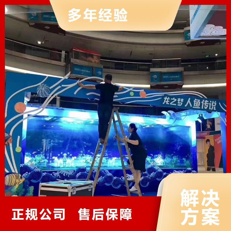 【海洋主题动物表演鹦鹉表演一站式服务】