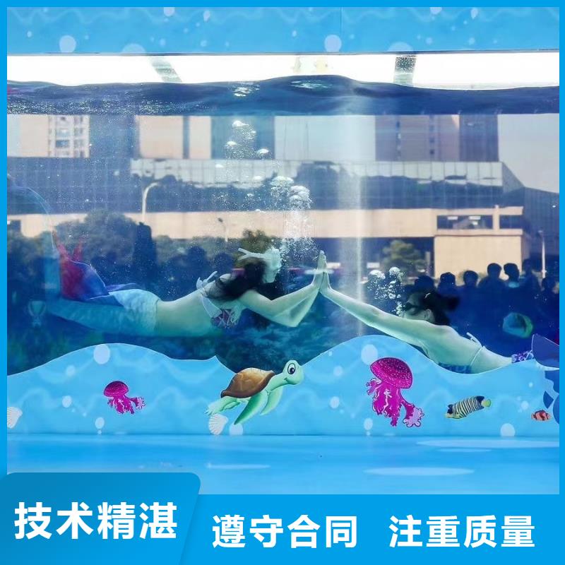生产厂家【海洋主题动物表演】_海狮表演出租专业承接