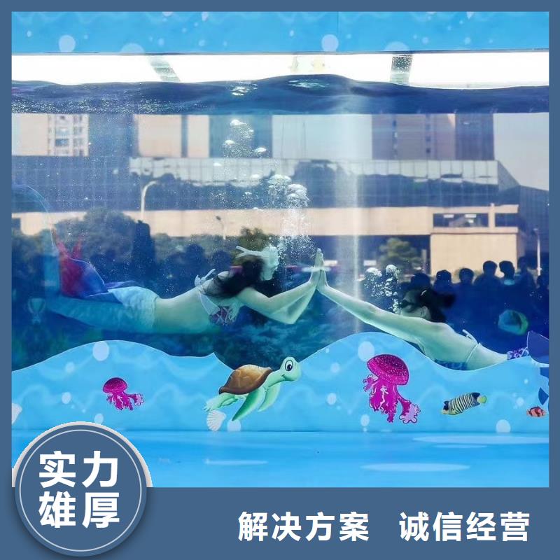 海洋主题动物表演,企鹅租赁正规团队