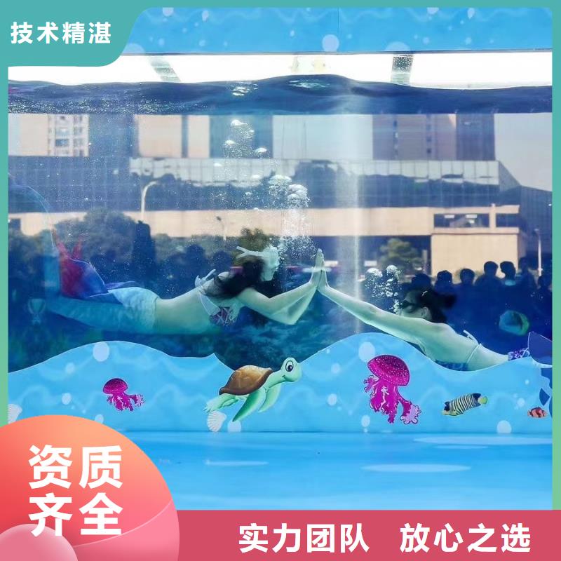 海洋主题动物表演_海狮演出专业公司