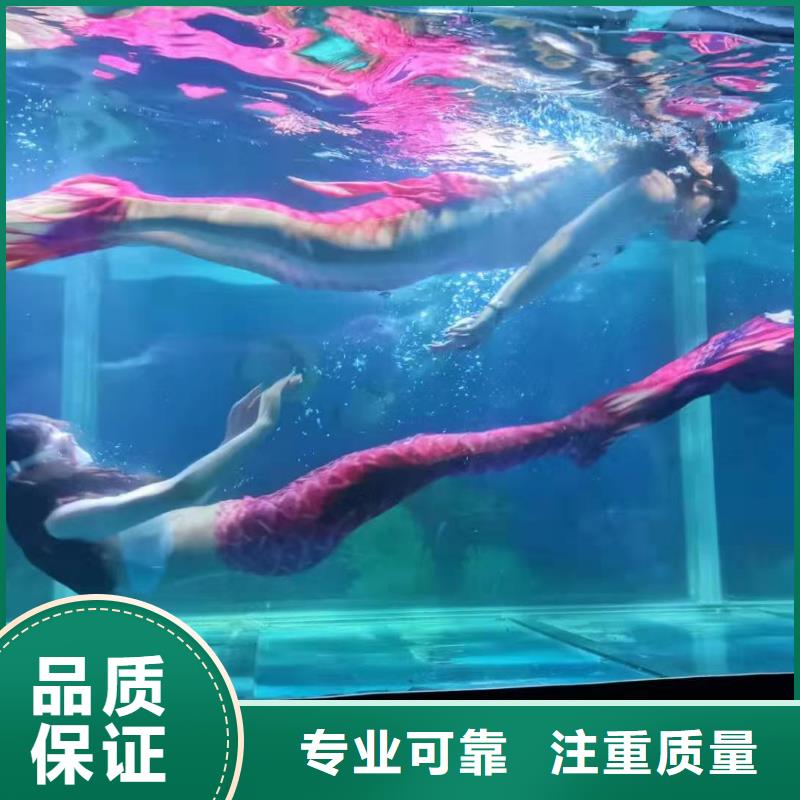 海洋主题动物表演海狮表演出租行业口碑好