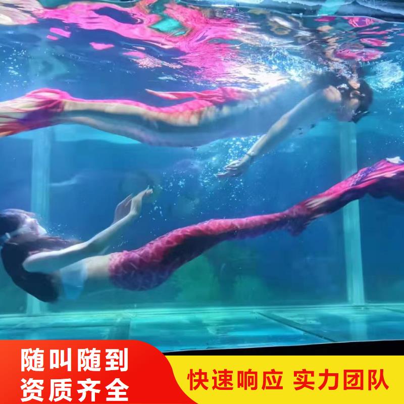 海洋主题动物表演景区杂技表演放心