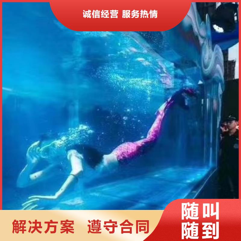 海洋主题动物表演-出租表演企鹅售后保障