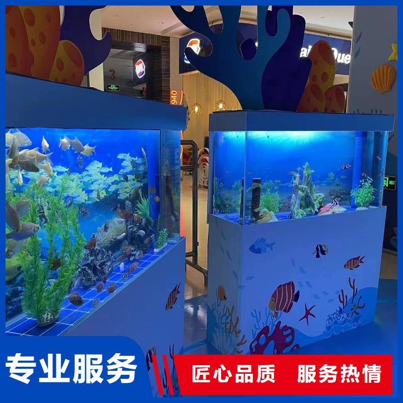 海洋主题动物表演企鹅出租专业公司