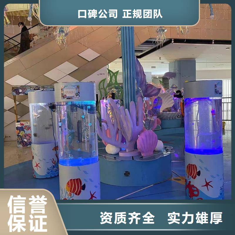 生产厂家【海洋主题动物表演】_海狮表演出租专业承接