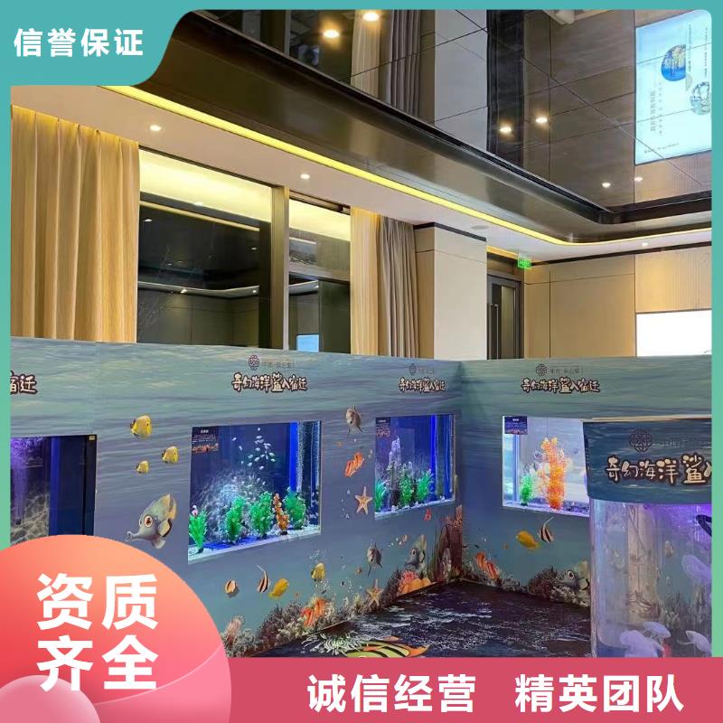 海洋主题动物表演动物表演租赁讲究信誉