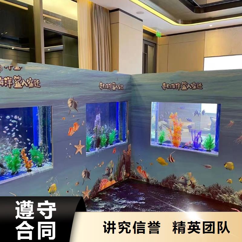 海洋主题动物表演海狮表演出租技术成熟