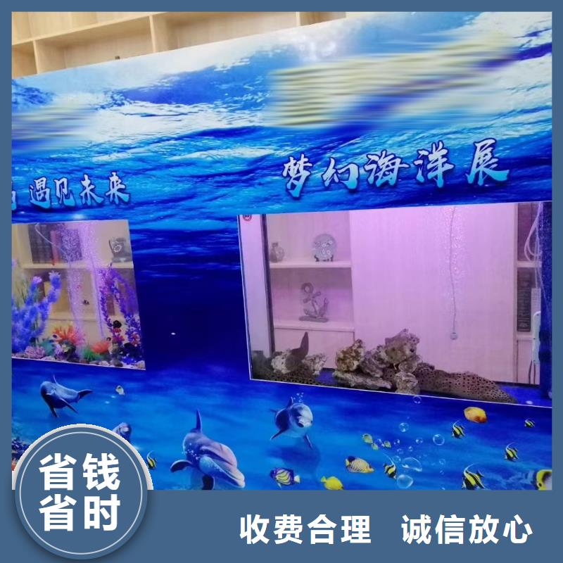 【海洋主题动物表演】动物表演租赁经验丰富