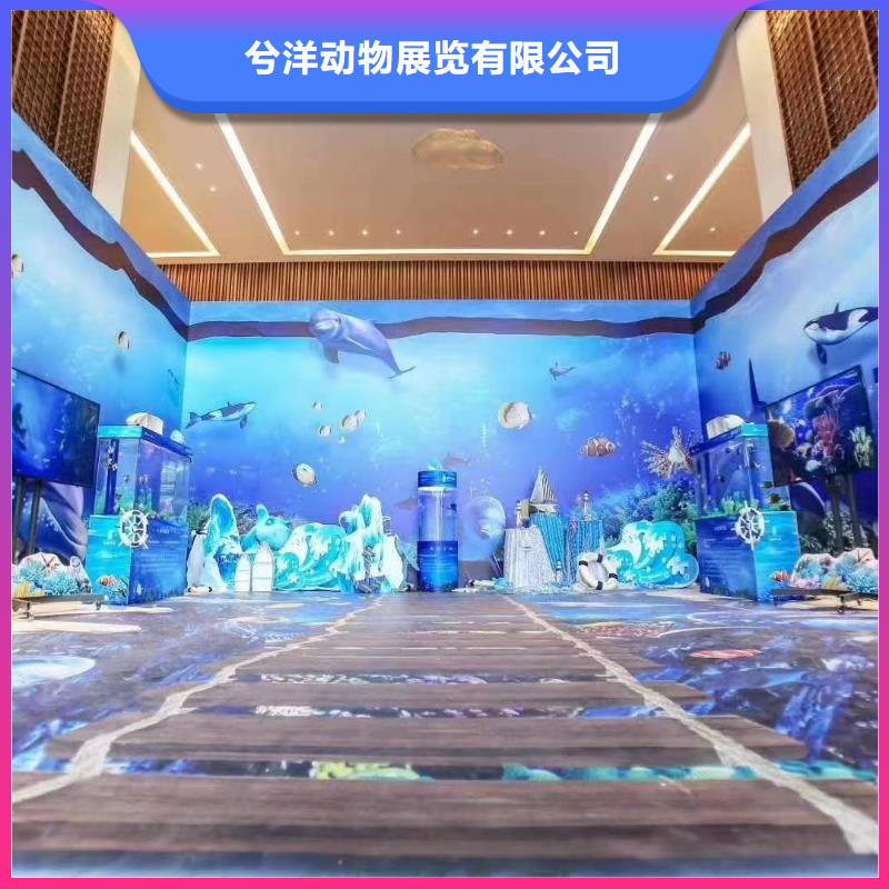 【海洋主题动物表演萌宠动物展出租团队】