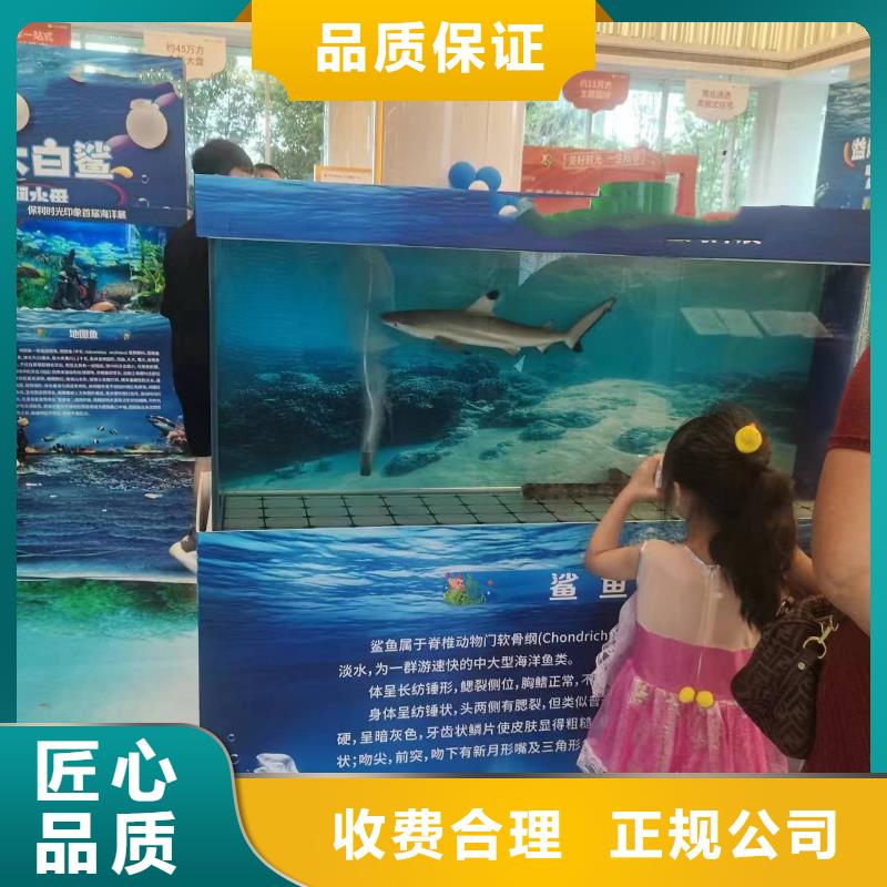 【海洋主题动物表演】动物表演出租专业团队