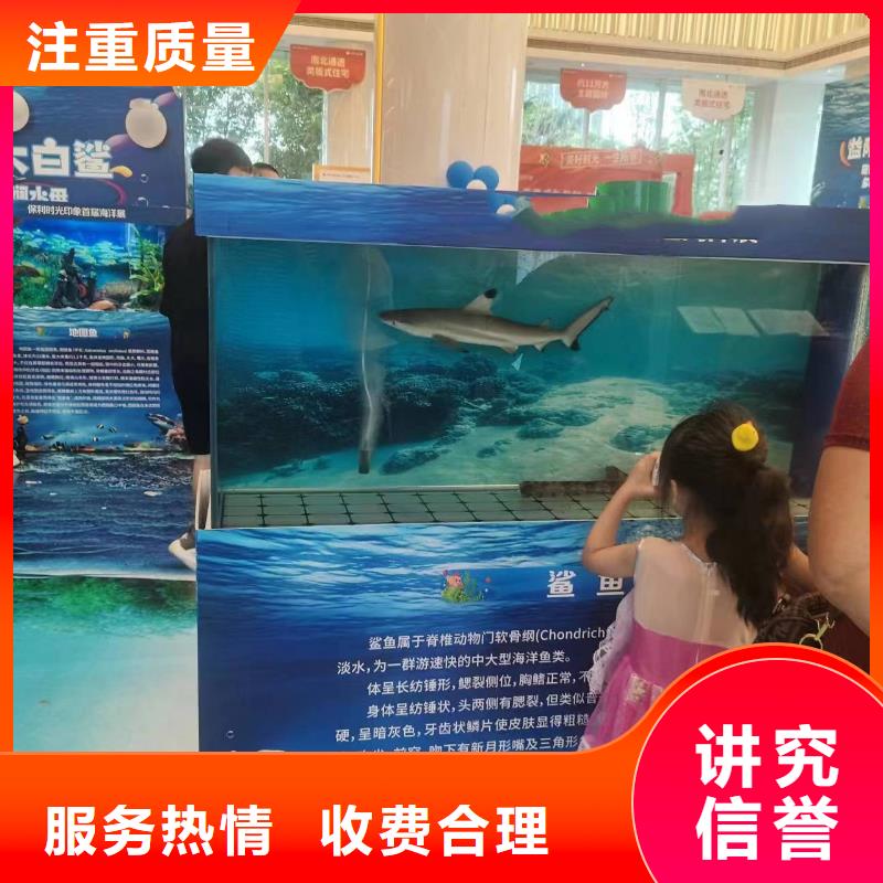 【海洋主题动物表演萌宠动物展出租团队】