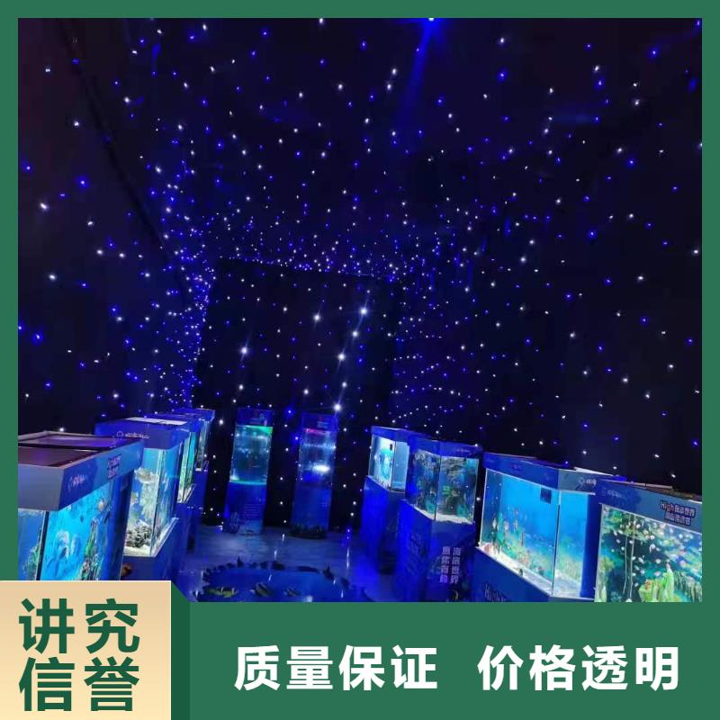 海洋主题动物表演杂技表演2025公司