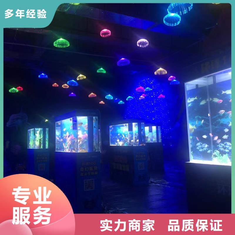 海洋主题动物表演_海狮表演出租口碑商家