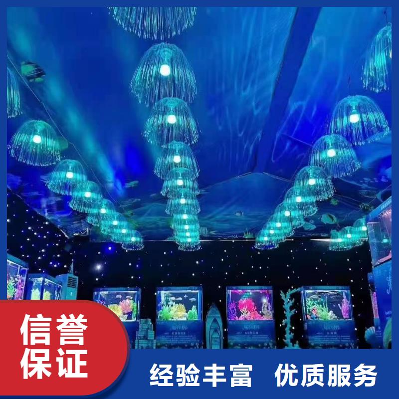 海洋主题动物表演杂技表演2025公司