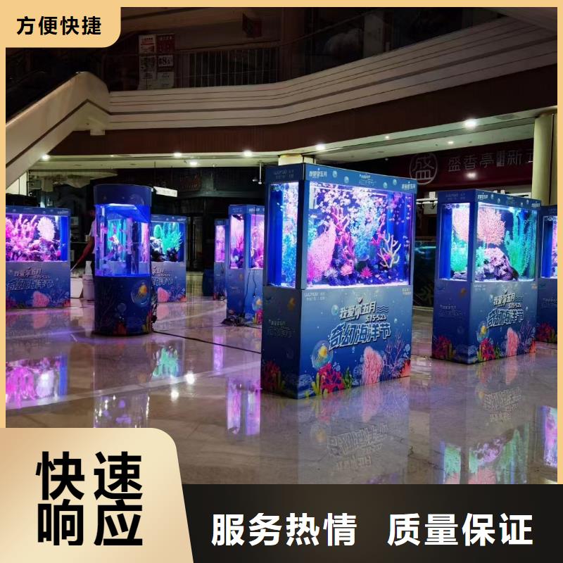 海洋主题动物表演_海狮表演出租技术成熟
