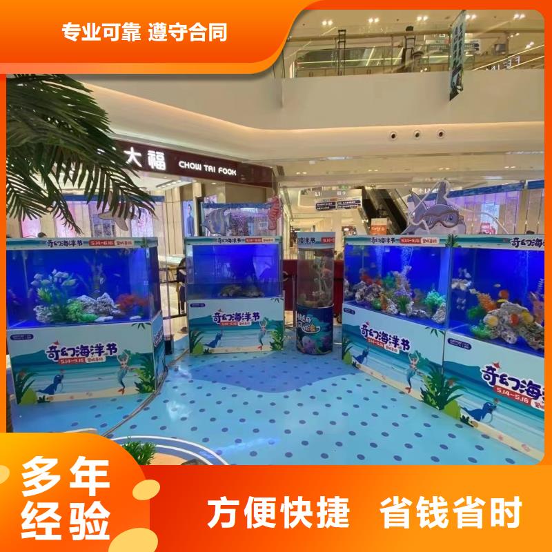 海洋主题动物表演海狮表演出租专业品质