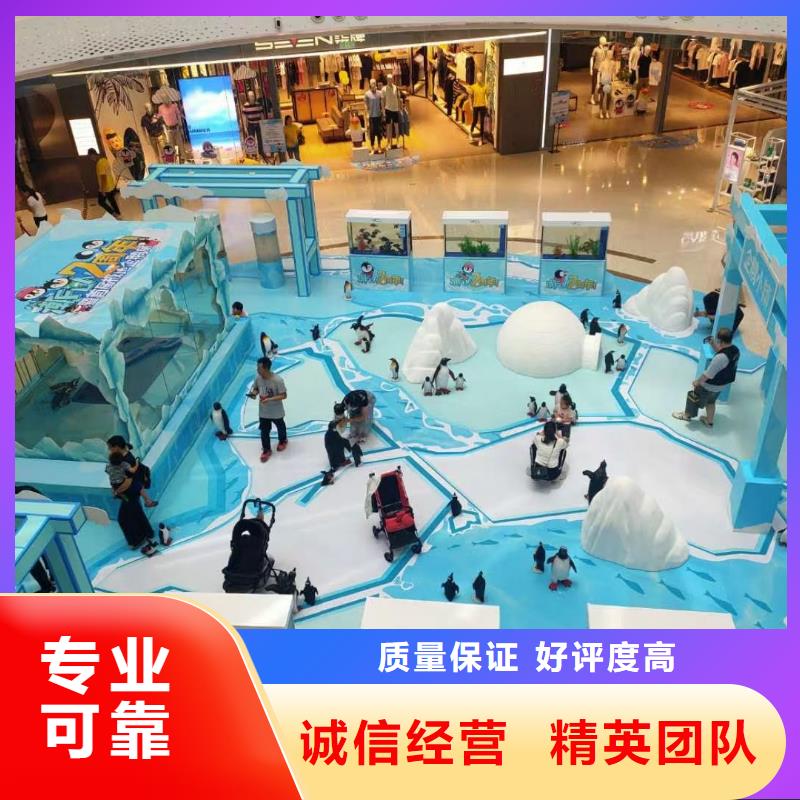 海洋主题动物表演出租企鹅从业经验丰富