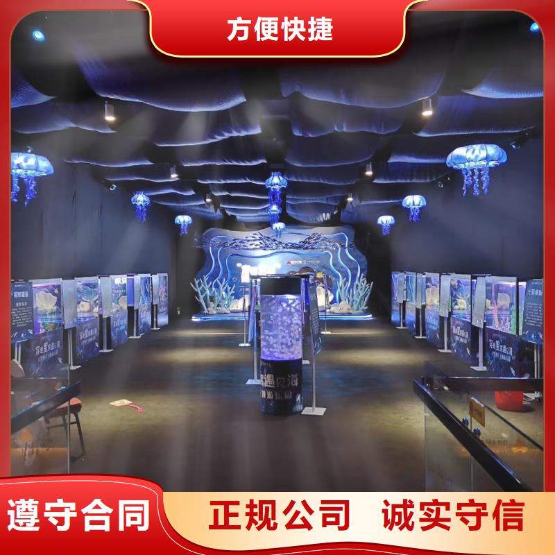 海洋主题动物表演鹦鹉表演租赁承接