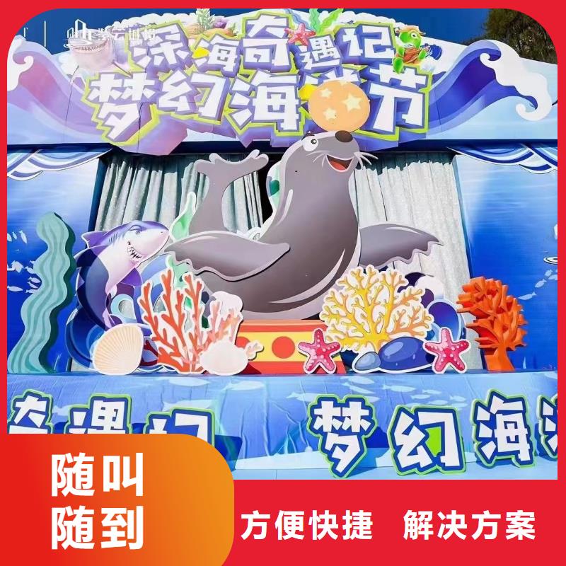 海洋主题动物表演出租企鹅从业经验丰富
