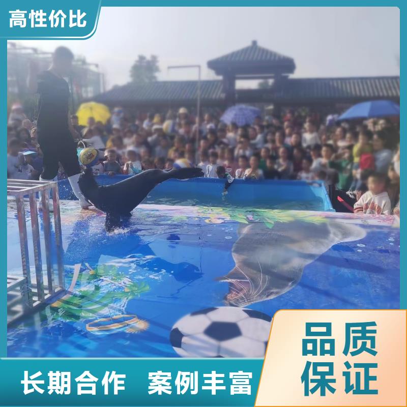 海洋主题动物表演-鹦鹉表演出租欢迎合作