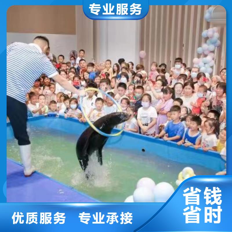 【海洋主题动物表演】企鹅出租表演实力商家