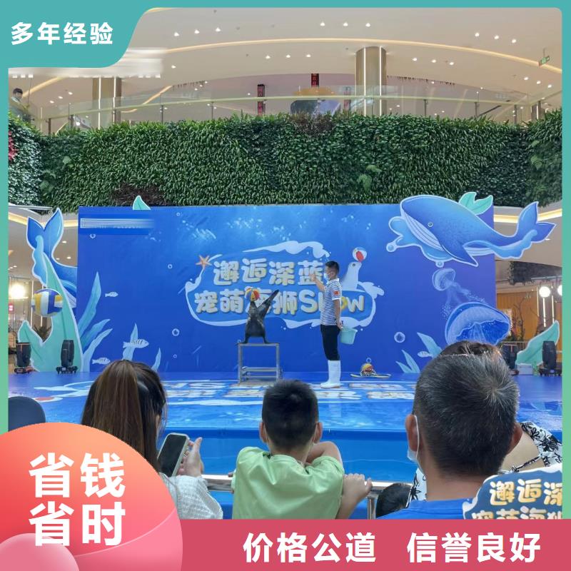 海洋主题动物表演,美人鱼表演靠谱商家
