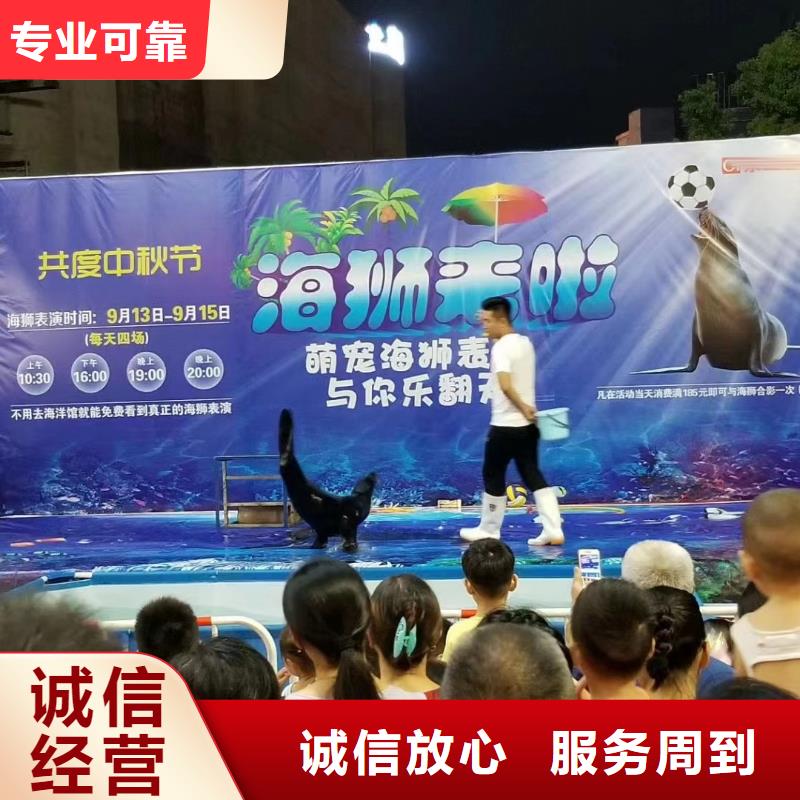 【海洋主题动物表演企鹅租赁专业承接】
