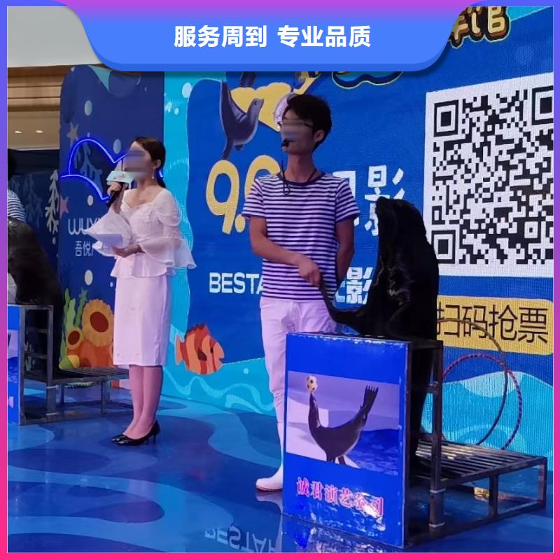 【海洋主题动物表演】水族海洋展随叫随到