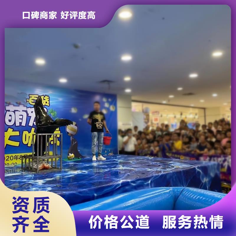 海洋主题动物表演马戏团表演出租遵守合同
