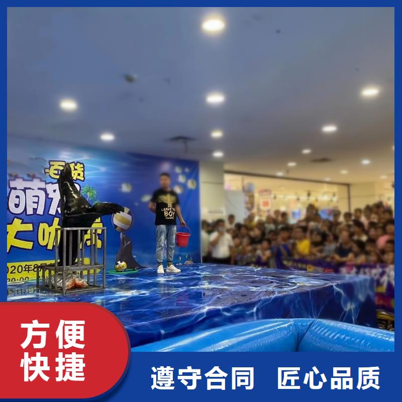 【海洋主题动物表演】鹦鹉表演租赁专业团队