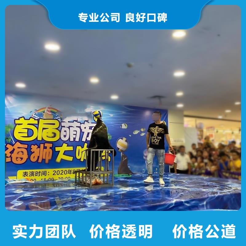 【海洋主题动物表演萌宠动物展出租团队】