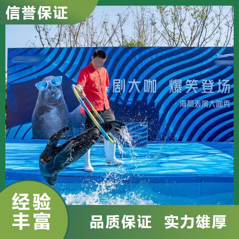 海洋主题动物表演景区杂技表演放心