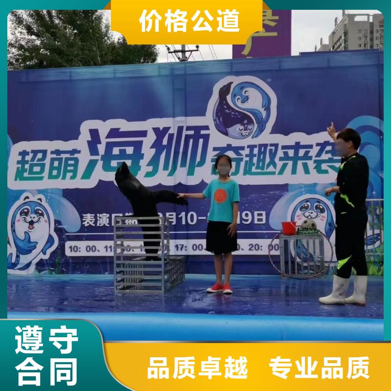 【海洋主题动物表演动物表演24小时为您服务】