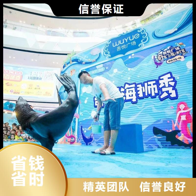 【海洋主题动物表演】水族海洋展随叫随到