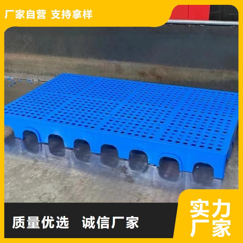 塑料托盘塑胶栈板厂家经验丰富