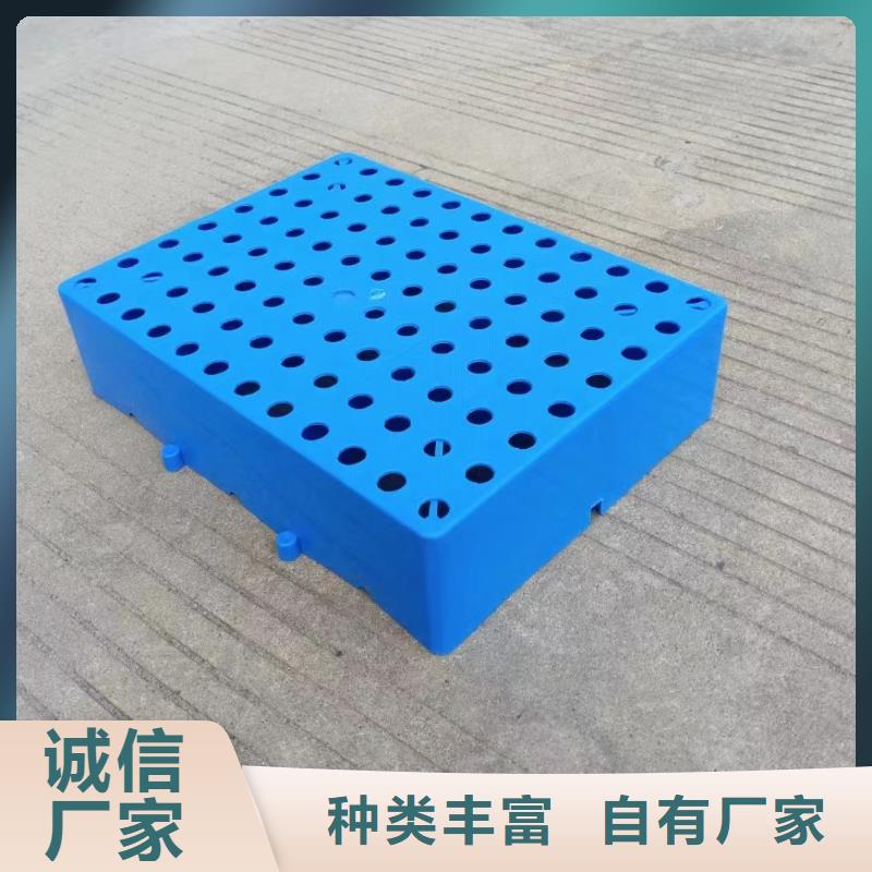 塑料托盘 【叉车板】产品优良