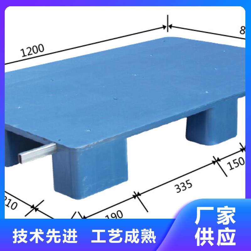 塑料托盘 仓库叉车加厚塑胶地台板厂家直销值得选择