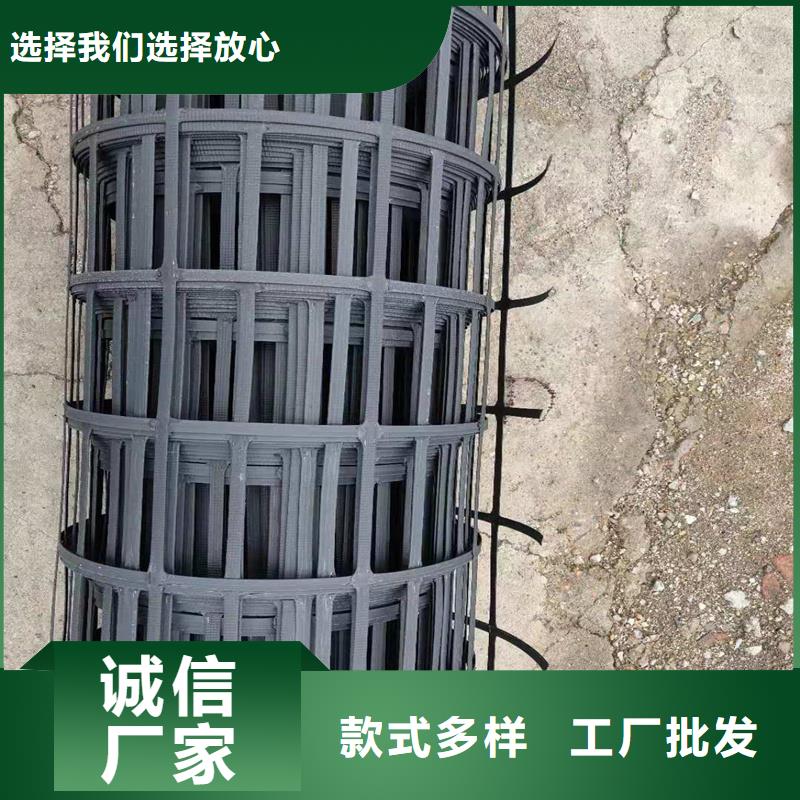 【土工格栅_聚酯玻纤布厂家型号齐全】