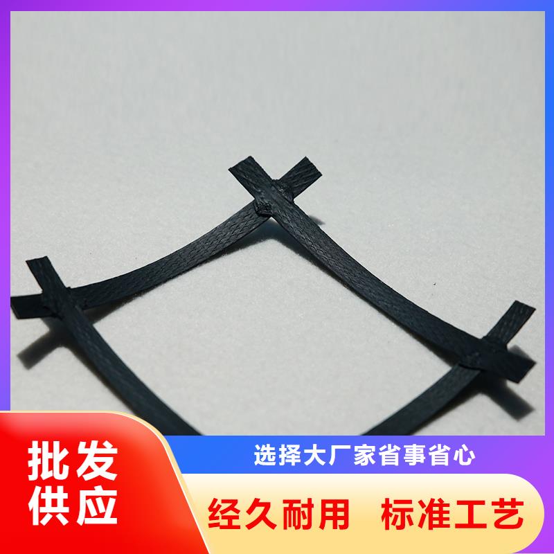 塑料土工格栅现货价格