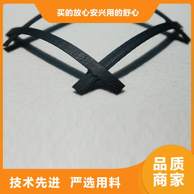 塑料土工格栅源头厂家