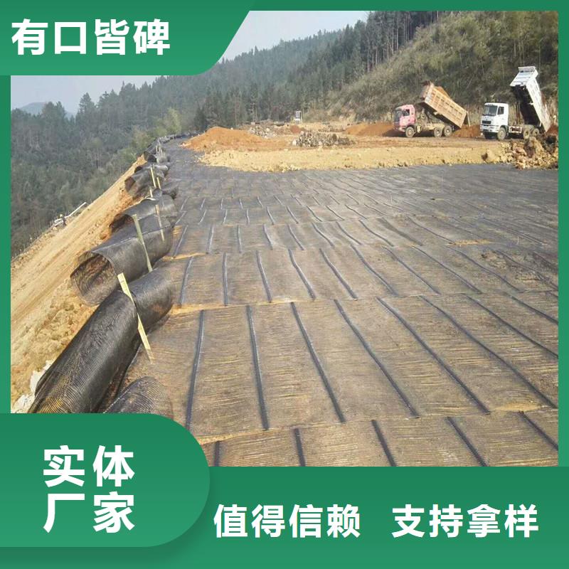 土工格栅\抗裂贴涤纶格栅大厂家实力看得见