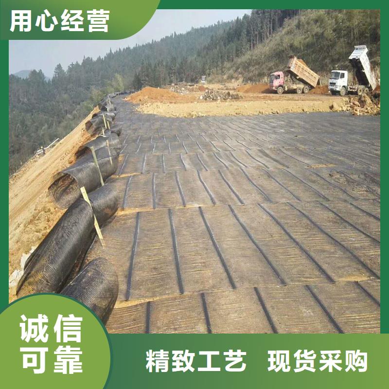 【土工格栅\抗裂贴】_钢塑土工格栅好品质经得住考验