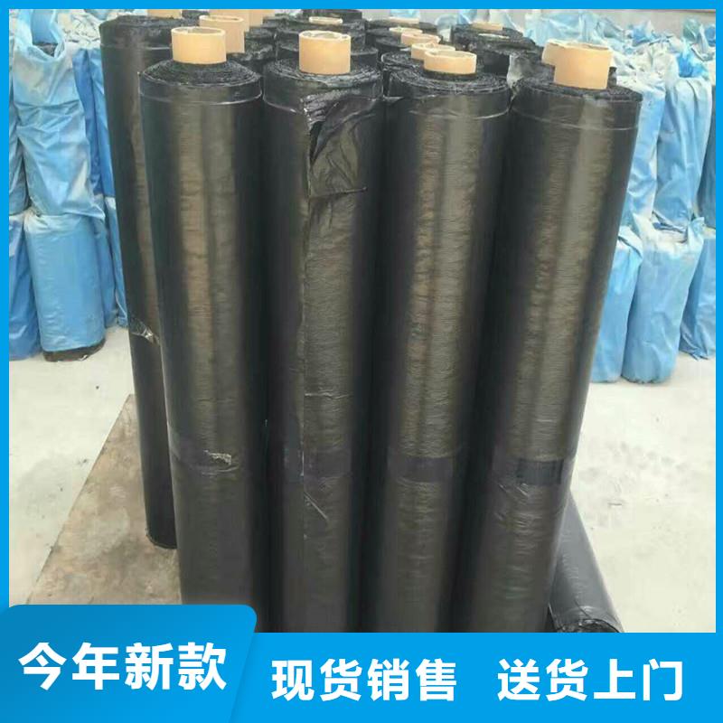 土工格栅\抗裂贴单向塑料土工格栅就近发货