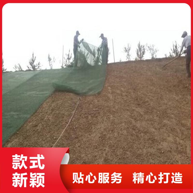 土工布短纤无纺土工布精选货源