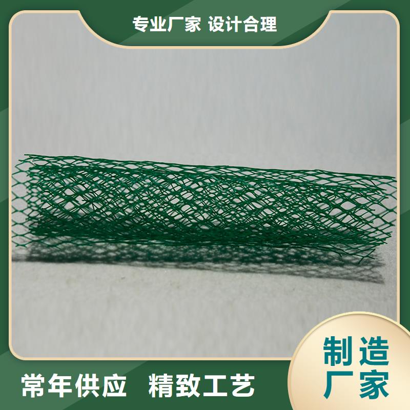 土工布矿用格栅源厂供货
