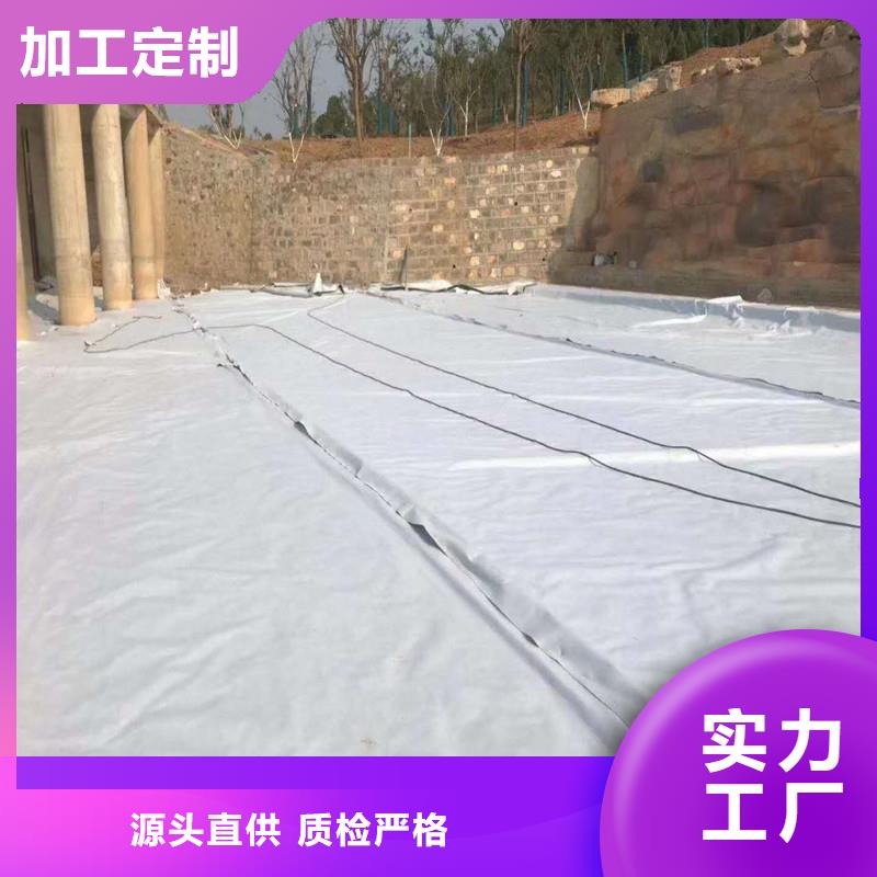 土工布矿用格栅购买的是放心