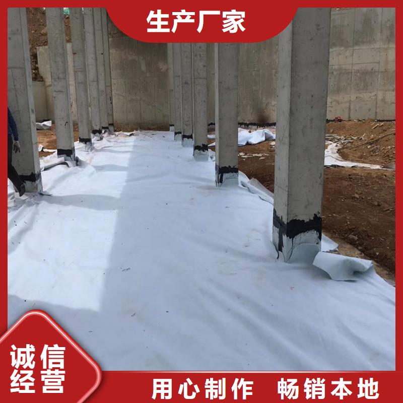 土工布钢塑土工格栅品牌专营