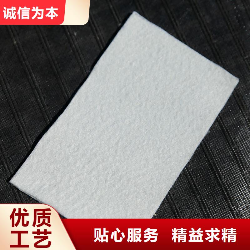 土工布钢塑土工格栅品牌专营