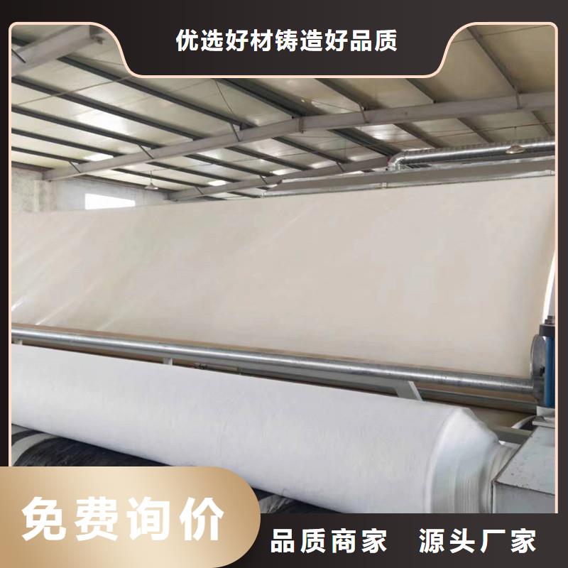土工布玻璃纤维土工格栅品牌大厂家