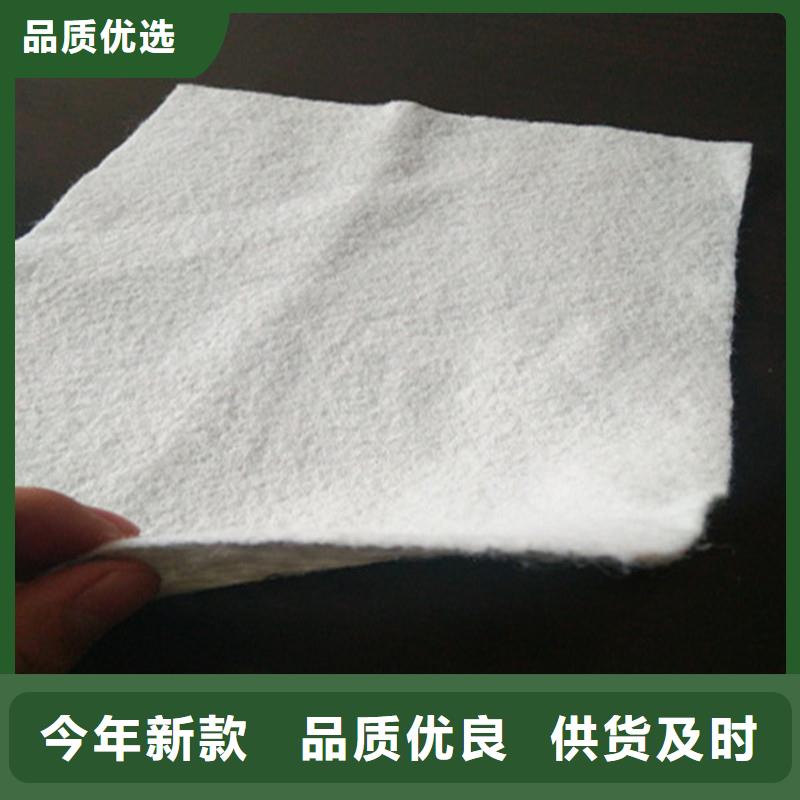 土工布玻璃纤维土工格栅就近发货